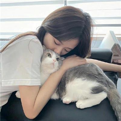 无敌猛鲨